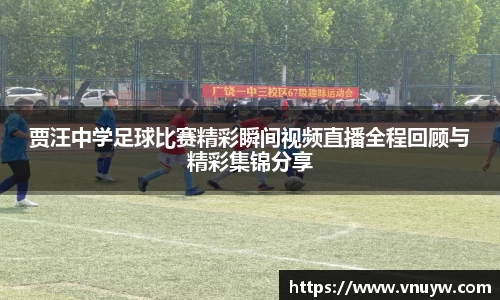 mk体育官网入口