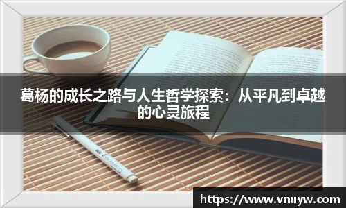 mk体育在线官网