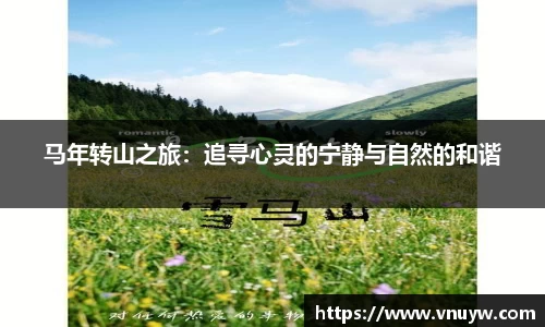 mk体育