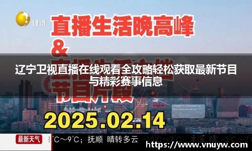 mk体育官网入口