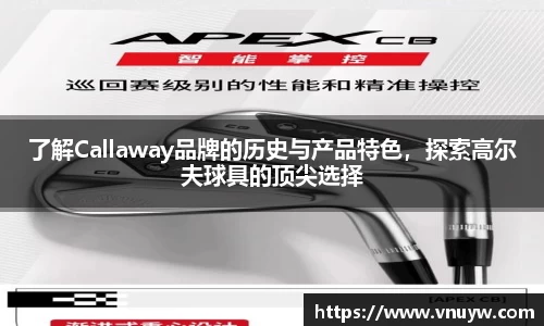 mk体育官网入口