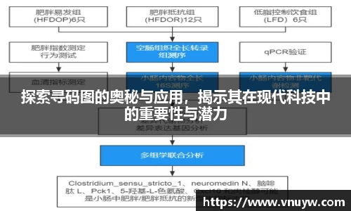 mk体育